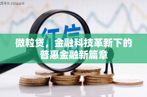 龙凤微粒贷，金融科技革新下的普惠金融新篇章
