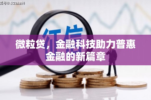 龙凤微粒贷，金融科技助力普惠金融的新篇章