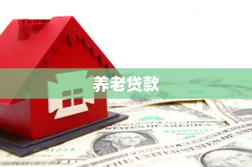 龙凤养老贷款