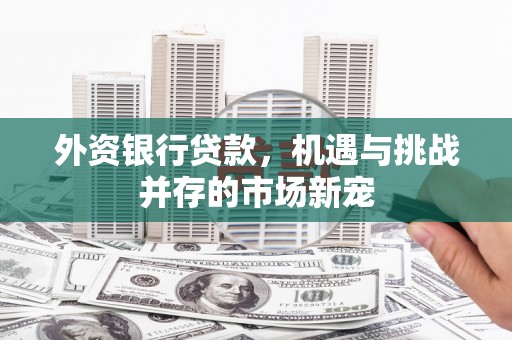 龙凤外资银行贷款，机遇与挑战并存的市场新宠