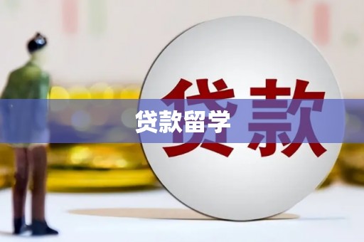 龙凤贷款留学