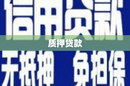 龙凤质押贷款
