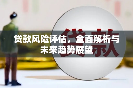 龙凤贷款风险评估，全面解析与未来趋势展望