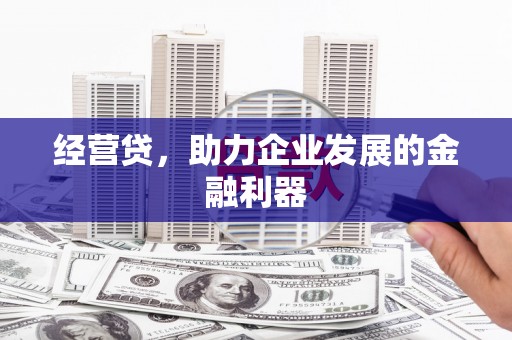 龙凤经营贷，助力企业发展的金融利器