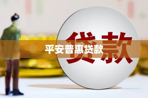 龙凤平安普惠贷款
