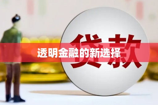 龙凤透明金融的新选择
