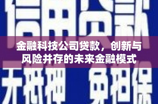 龙凤金融科技公司贷款，创新与风险并存的未来金融模式