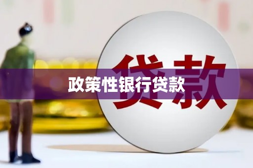 龙凤政策性银行贷款