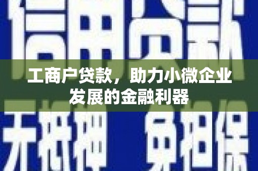 龙凤工商户贷款，助力小微企业发展的金融利器
