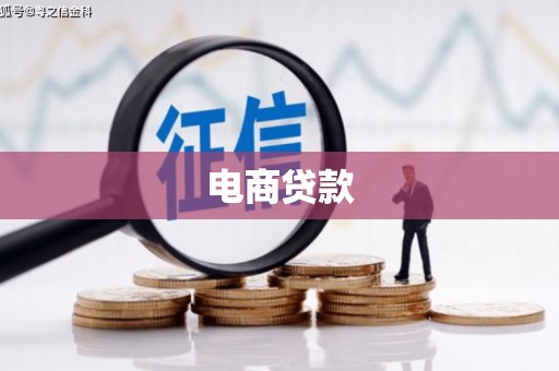 龙凤电商贷款