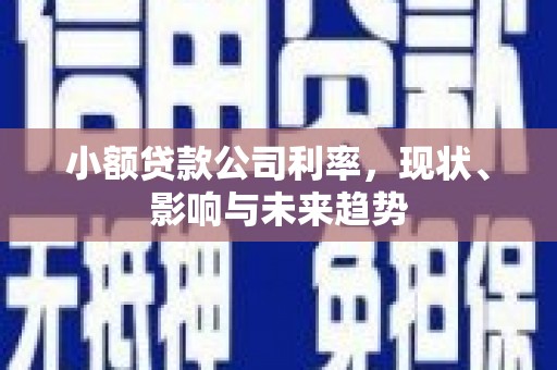龙凤小额贷款公司利率，现状、影响与未来趋势