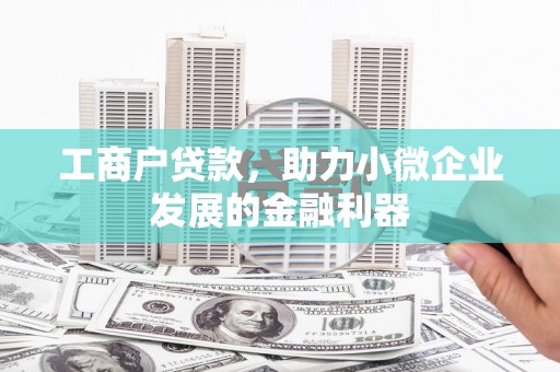 龙凤工商户贷款，助力小微企业发展的金融利器
