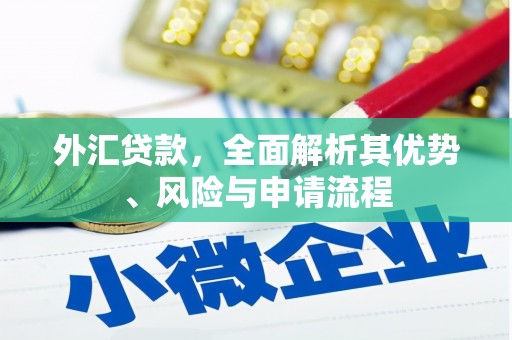 龙凤外汇贷款，全面解析其优势、风险与申请流程