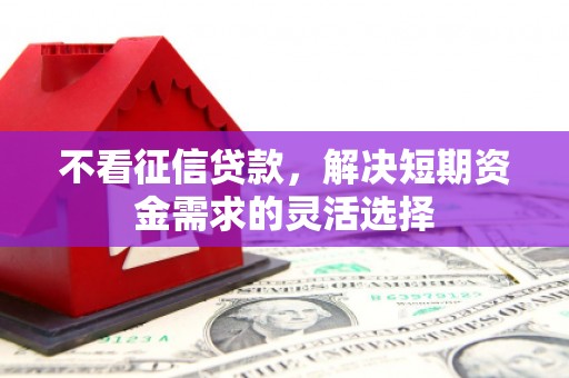 龙凤不看征信贷款，解决短期资金需求的灵活选择