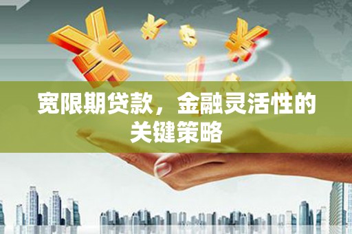 龙凤宽限期贷款，金融灵活性的关键策略