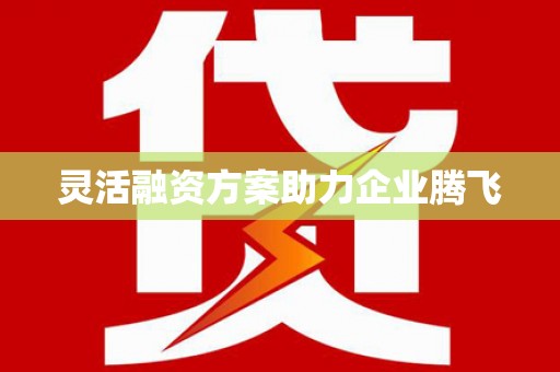 龙凤灵活融资方案助力企业腾飞