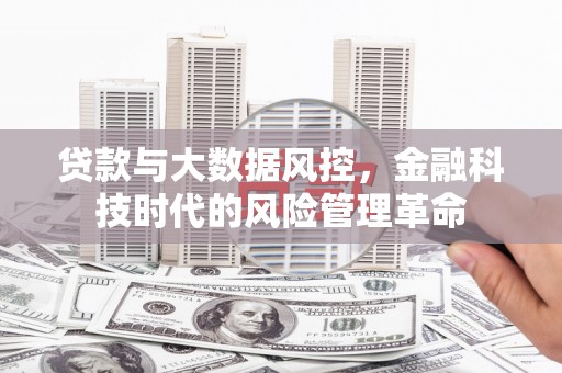 龙凤贷款与大数据风控，金融科技时代的风险管理革命