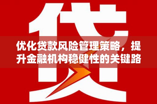 龙凤优化贷款风险管理策略，提升金融机构稳健性的关键路径
