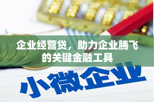 龙凤企业经营贷，助力企业腾飞的关键金融工具