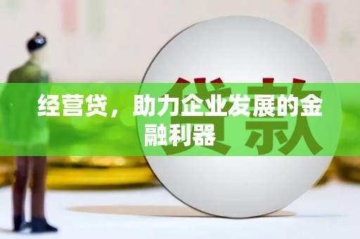 龙凤经营贷，助力企业发展的金融利器