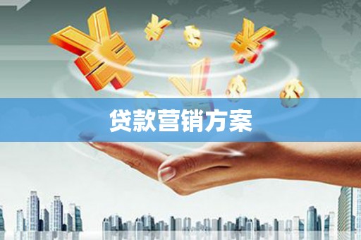 龙凤贷款营销方案