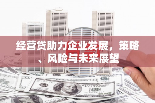 龙凤经营贷助力企业发展，策略、风险与未来展望