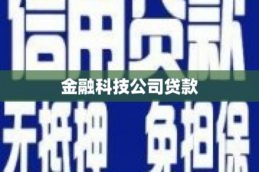 龙凤金融科技公司贷款