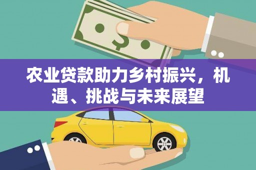 龙凤农业贷款助力乡村振兴，机遇、挑战与未来展望