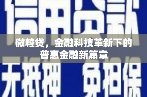 龙凤微粒贷，金融科技革新下的普惠金融新篇章