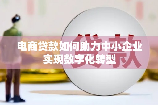 龙凤电商贷款如何助力中小企业实现数字化转型