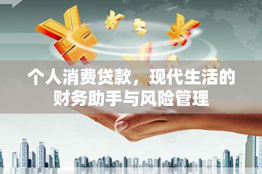 龙凤个人消费贷款，现代生活的财务助手与风险管理