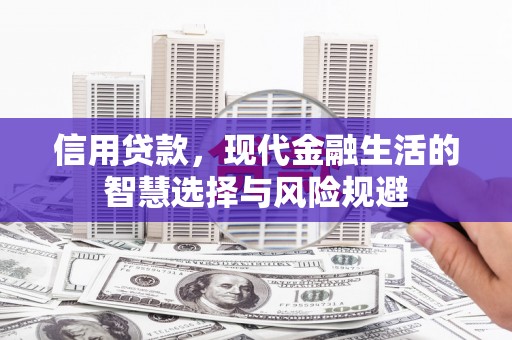 龙凤信用贷款，现代金融生活的智慧选择与风险规避
