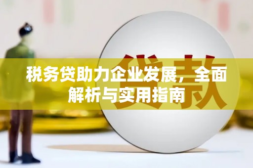 龙凤税务贷助力企业发展，全面解析与实用指南