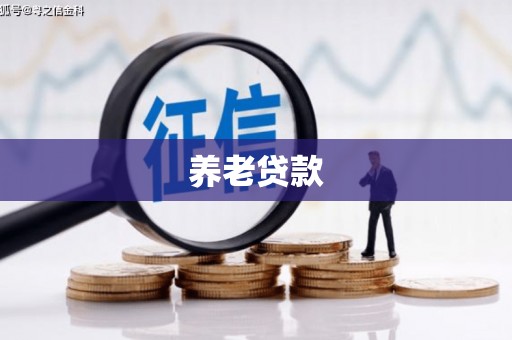 龙凤养老贷款