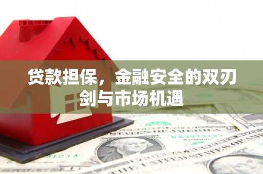 龙凤贷款担保，金融安全的双刃剑与市场机遇
