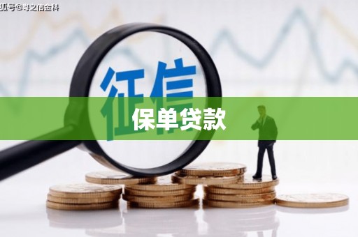 龙凤保单贷款