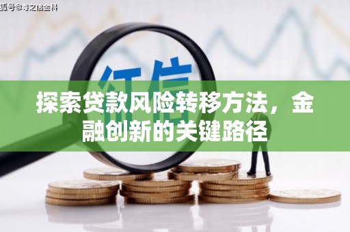龙凤探索贷款风险转移方法，金融创新的关键路径