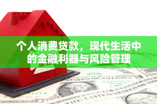 龙凤个人消费贷款，现代生活中的金融利器与风险管理