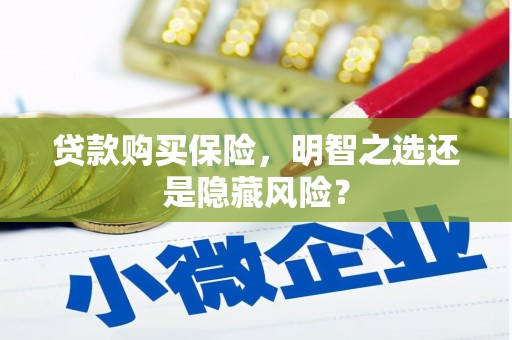 龙凤贷款购买保险，明智之选还是隐藏风险？