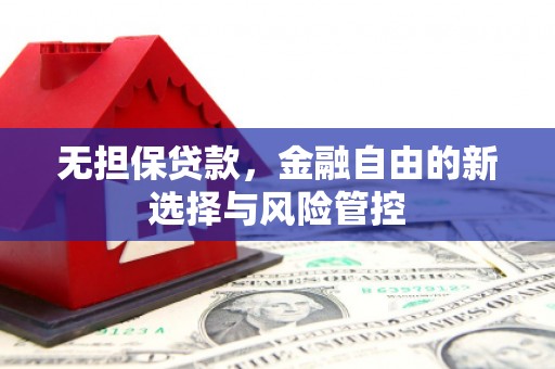 龙凤无担保贷款，金融自由的新选择与风险管控