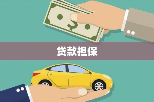 龙凤贷款担保