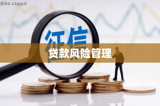 龙凤贷款风险管理