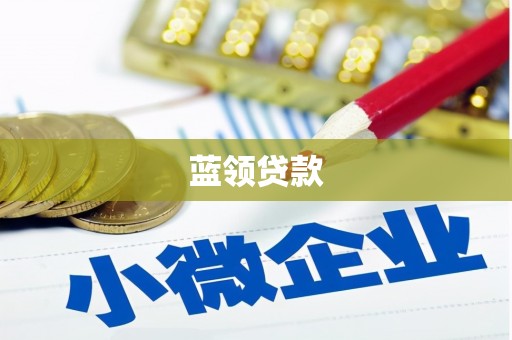 龙凤蓝领贷款
