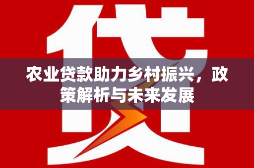 龙凤农业贷款助力乡村振兴，政策解析与未来发展