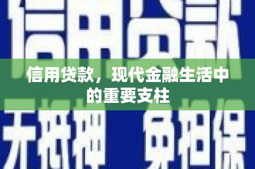 龙凤信用贷款，现代金融生活中的重要支柱