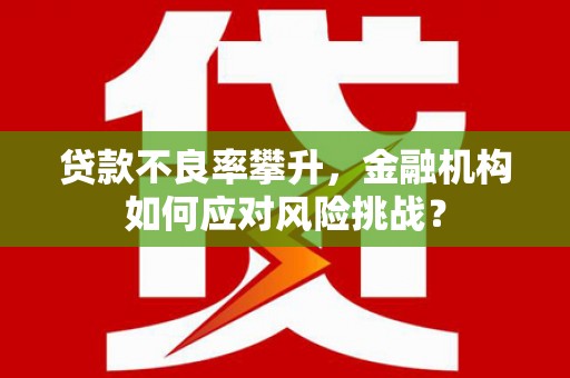 龙凤贷款不良率攀升，金融机构如何应对风险挑战？