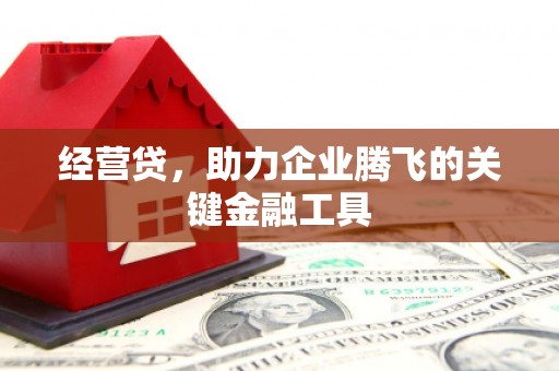 龙凤经营贷，助力企业腾飞的关键金融工具