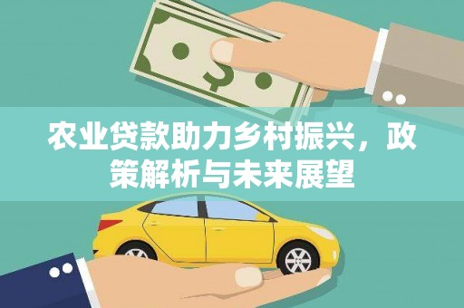 龙凤农业贷款助力乡村振兴，政策解析与未来展望