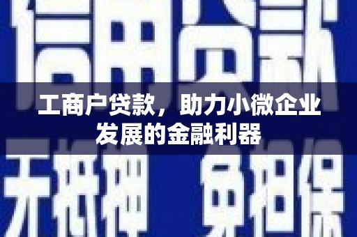 龙凤工商户贷款，助力小微企业发展的金融利器