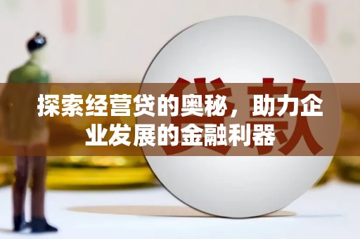 龙凤探索经营贷的奥秘，助力企业发展的金融利器